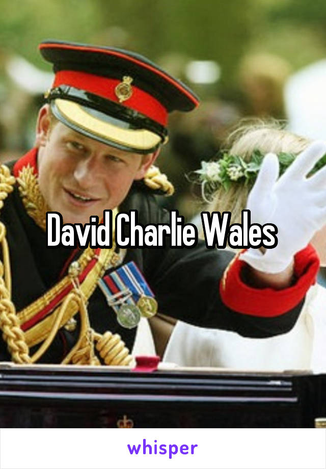 David Charlie Wales 