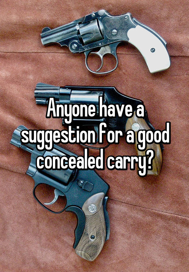 Anyone have a suggestion for a good concealed carry?
