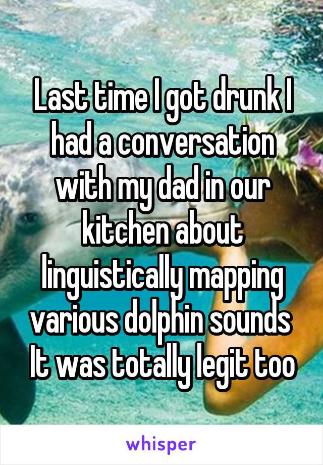 Last time I got drunk I had a conversation with my dad in our kitchen about linguistically mapping various dolphin sounds 
It was totally legit too