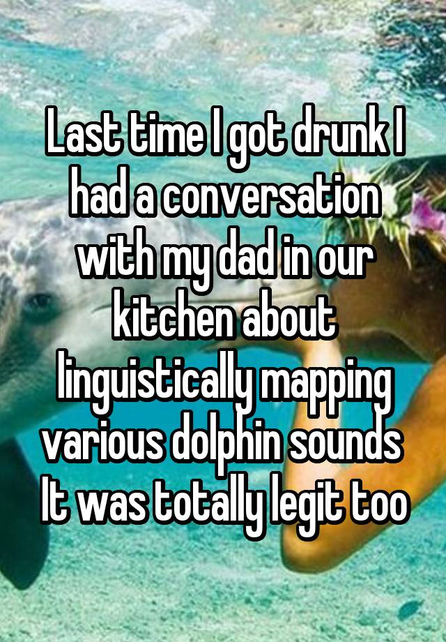 Last time I got drunk I had a conversation with my dad in our kitchen about linguistically mapping various dolphin sounds 
It was totally legit too