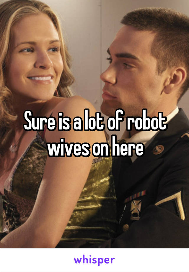 Sure is a lot of robot wives on here