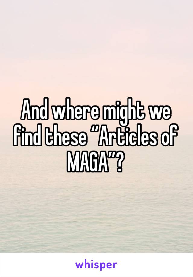 And where might we find these “Articles of MAGA”? 