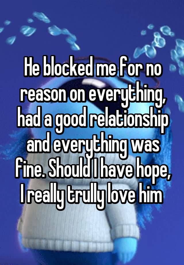 He blocked me for no reason on everything, had a good relationship and everything was fine. Should I have hope, I really trully love him 