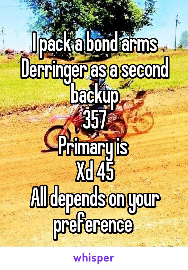 I pack a bond arms Derringer as a second backup
357
Primary is 
Xd 45
All depends on your preference 