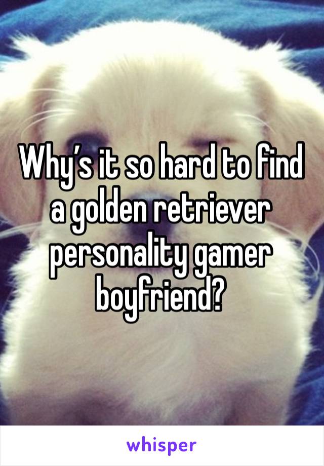 Why’s it so hard to find a golden retriever personality gamer boyfriend?