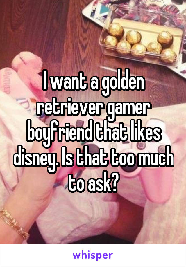 I want a golden retriever gamer boyfriend that likes disney. Is that too much to ask?