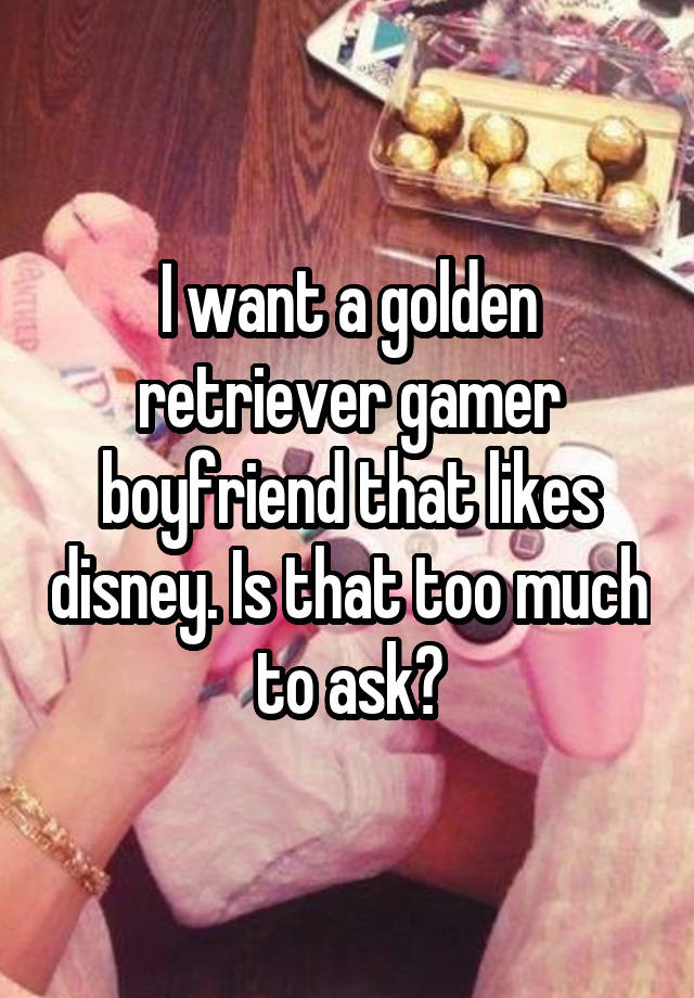 I want a golden retriever gamer boyfriend that likes disney. Is that too much to ask?