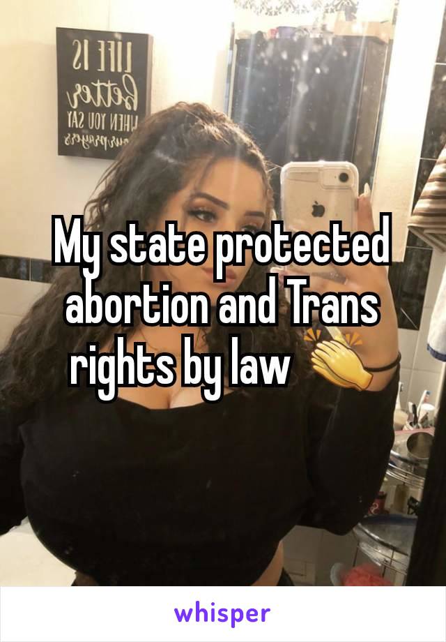 My state protected abortion and Trans rights by law 👏