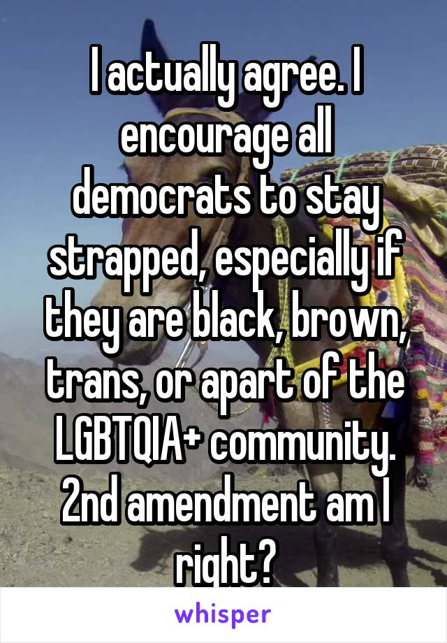 I actually agree. I encourage all democrats to stay strapped, especially if they are black, brown, trans, or apart of the LGBTQIA+ community. 2nd amendment am I right?