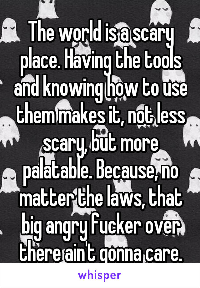 The world is a scary place. Having the tools and knowing how to use them makes it, not less scary, but more palatable. Because, no matter the laws, that big angry fucker over there ain't gonna care.