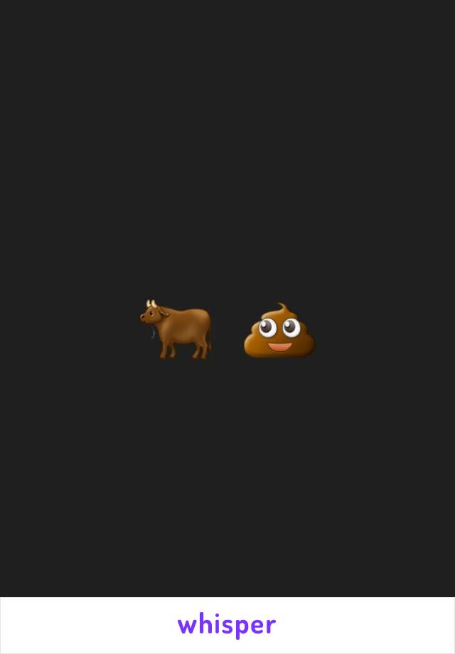 🐂   💩