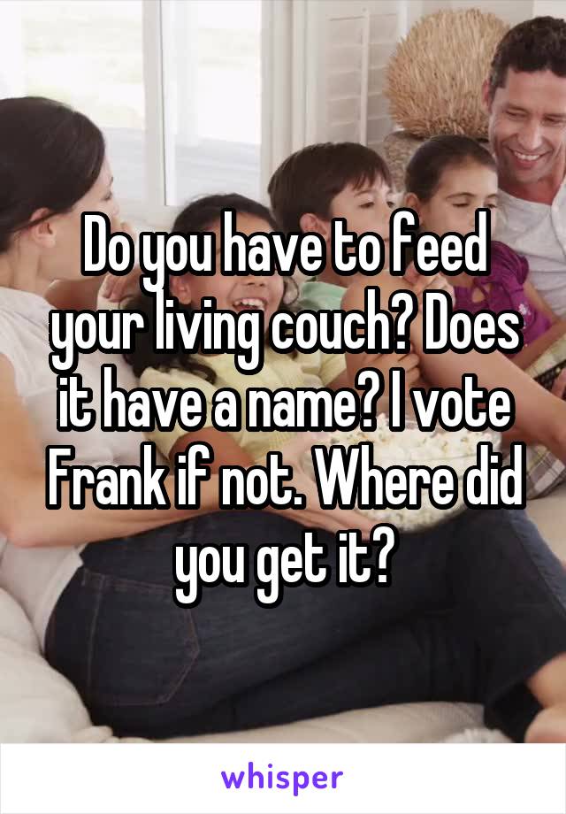 Do you have to feed your living couch? Does it have a name? I vote Frank if not. Where did you get it?