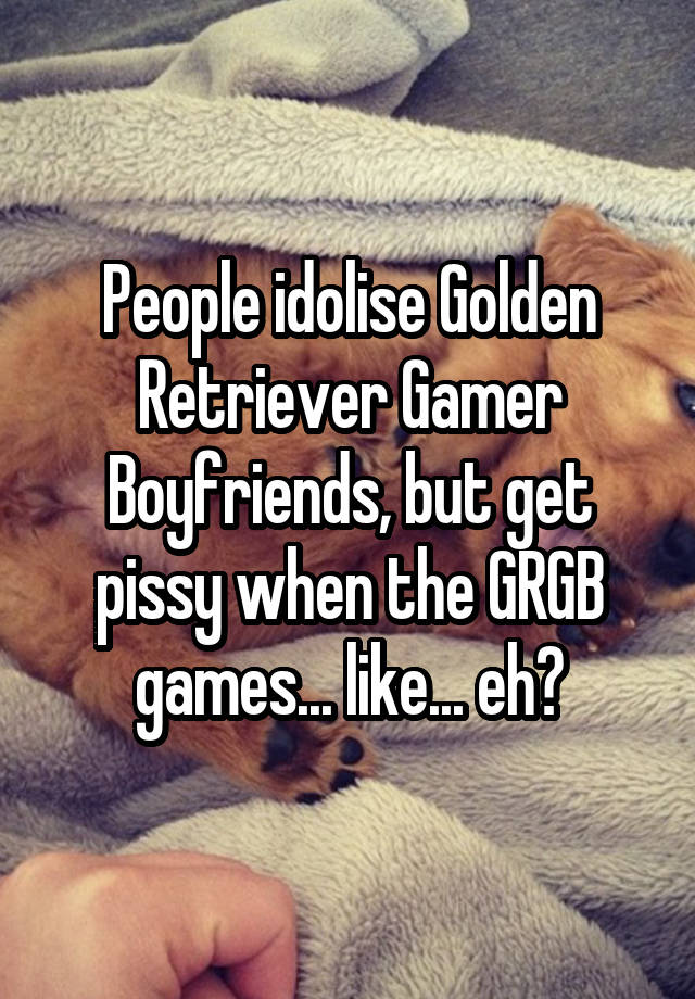 People idolise Golden Retriever Gamer Boyfriends, but get pissy when the GRGB games... like... eh?