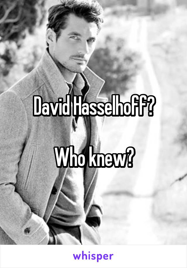 David Hasselhoff?

Who knew?