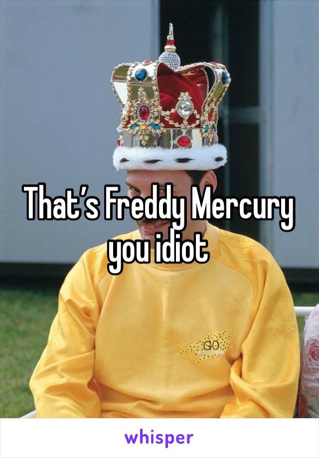 That’s Freddy Mercury you idiot