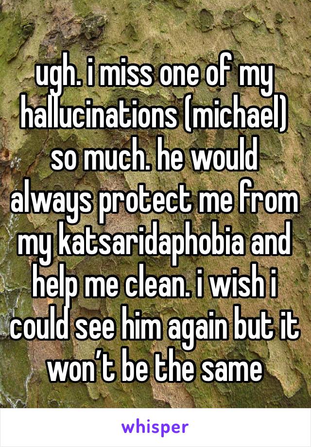 ugh. i miss one of my hallucinations (michael) so much. he would always protect me from my katsaridaphobia and help me clean. i wish i could see him again but it won’t be the same