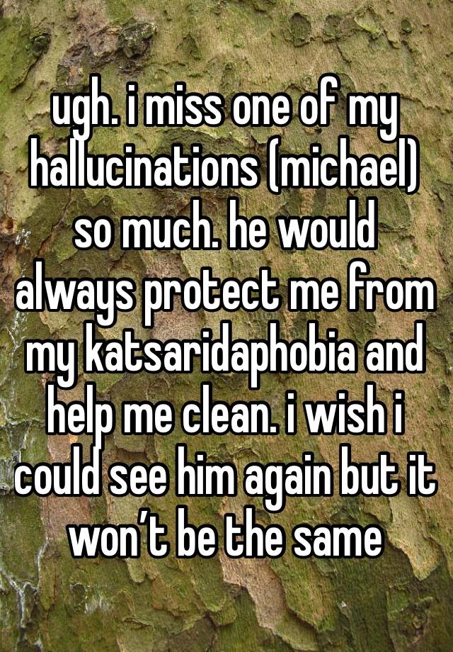 ugh. i miss one of my hallucinations (michael) so much. he would always protect me from my katsaridaphobia and help me clean. i wish i could see him again but it won’t be the same