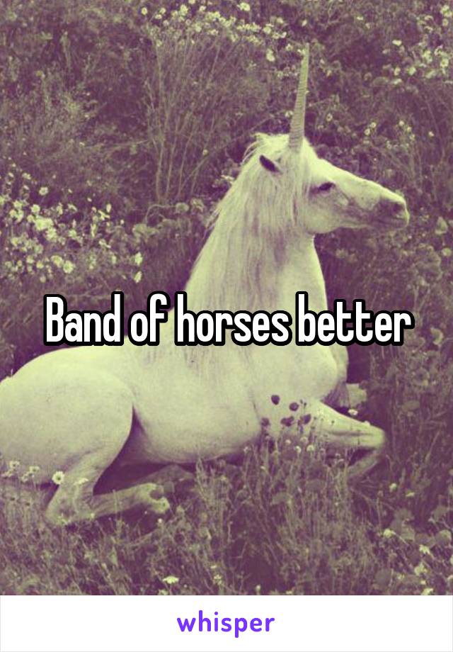 Band of horses better