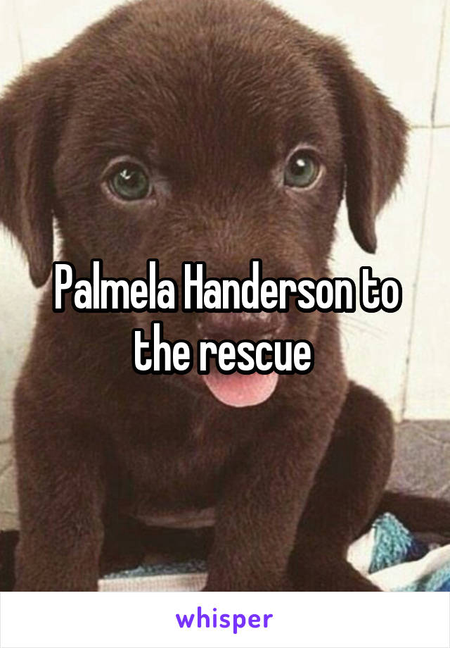 Palmela Handerson to the rescue 