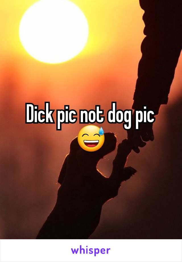 Dick pic not dog pic 😅