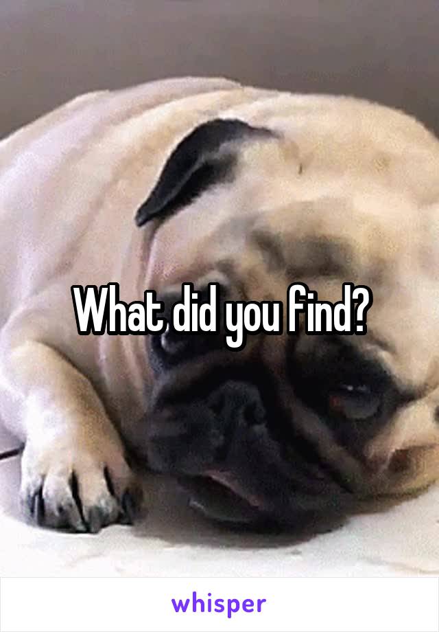 What did you find?