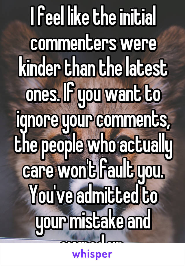 I feel like the initial commenters were kinder than the latest ones. If you want to ignore your comments, the people who actually care won't fault you. You've admitted to your mistake and owned up 