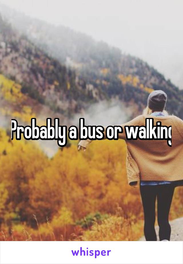 Probably a bus or walking