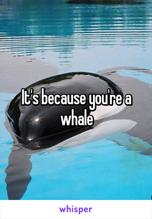 It's because you're a whale