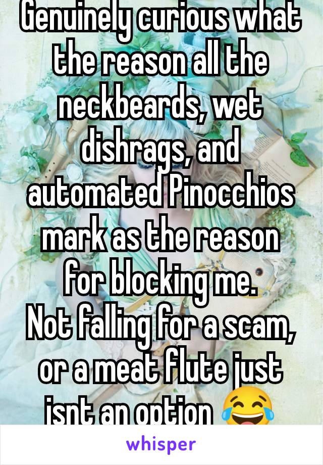 Genuinely curious what the reason all the neckbeards, wet dishrags, and automated Pinocchios mark as the reason for blocking me.
Not falling for a scam, or a meat flute just isnt an option 😂🤣