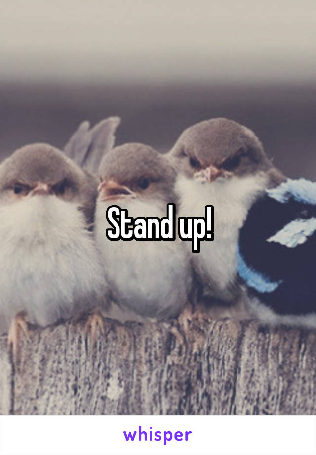 Stand up!