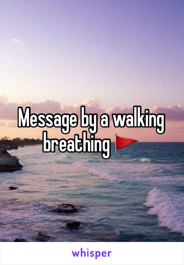 Message by a walking breathing 🚩 