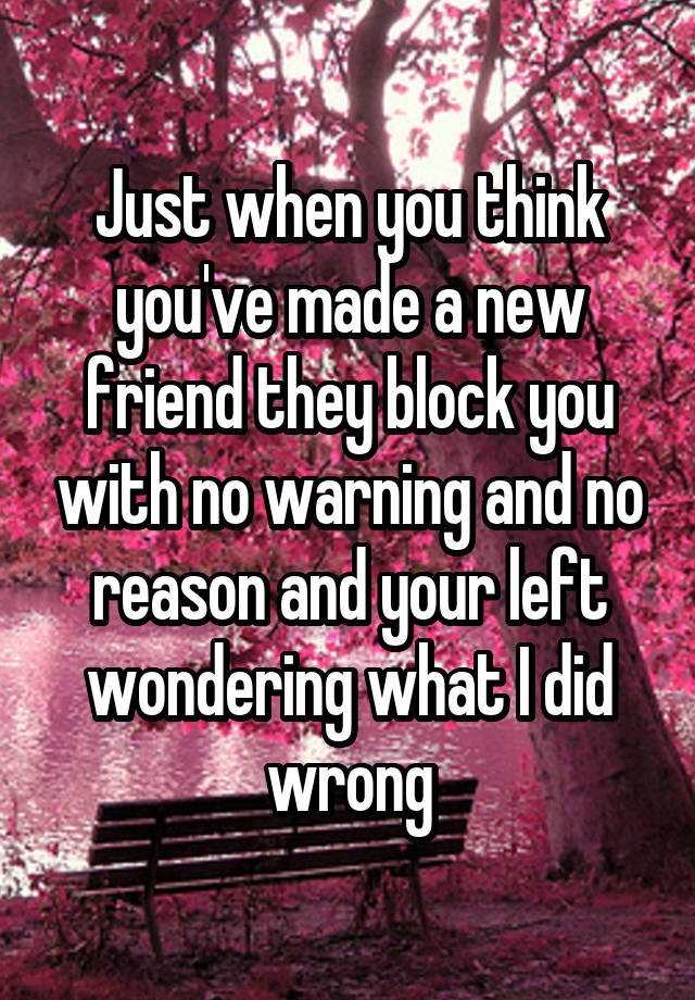 Just when you think you've made a new friend they block you with no warning and no reason and your left wondering what I did wrong