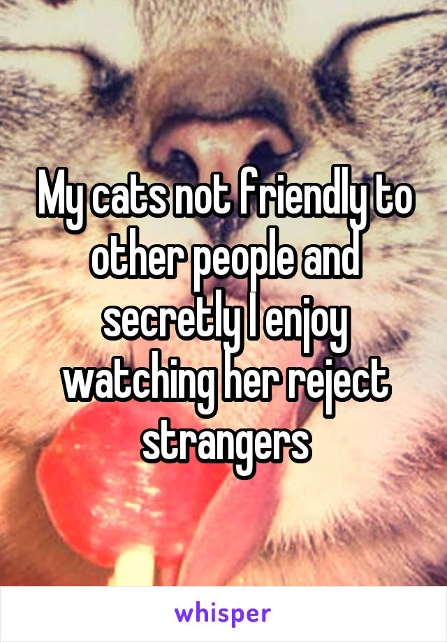 My cats not friendly to other people and secretly I enjoy watching her reject strangers