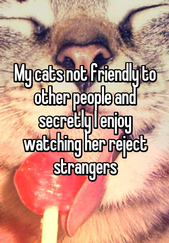 My cats not friendly to other people and secretly I enjoy watching her reject strangers