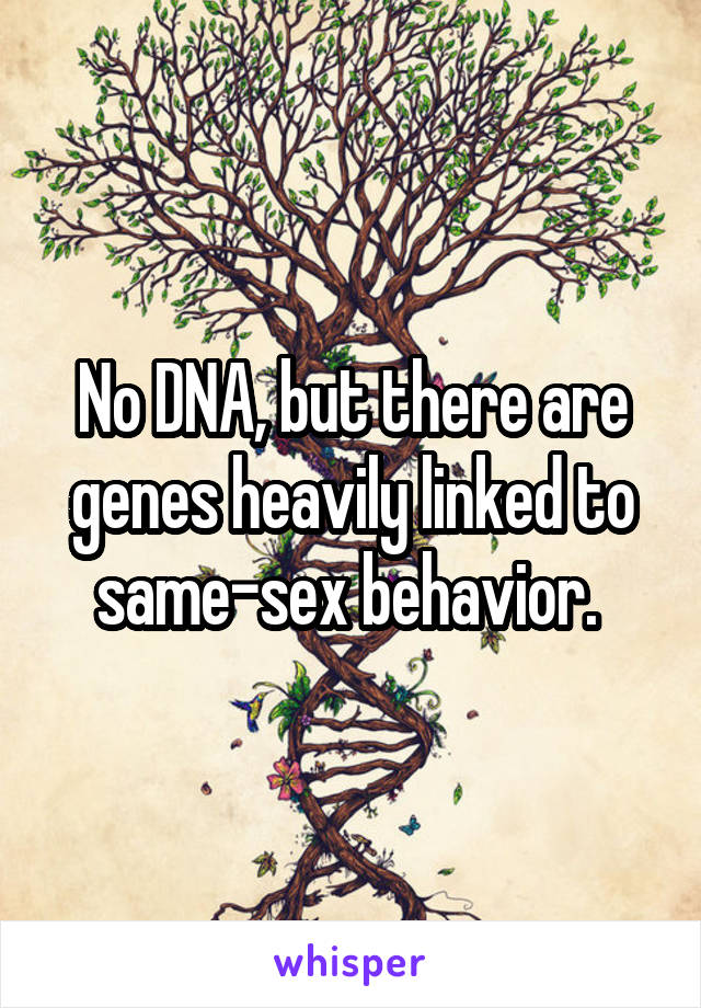 No DNA, but there are genes heavily linked to same-sex behavior. 