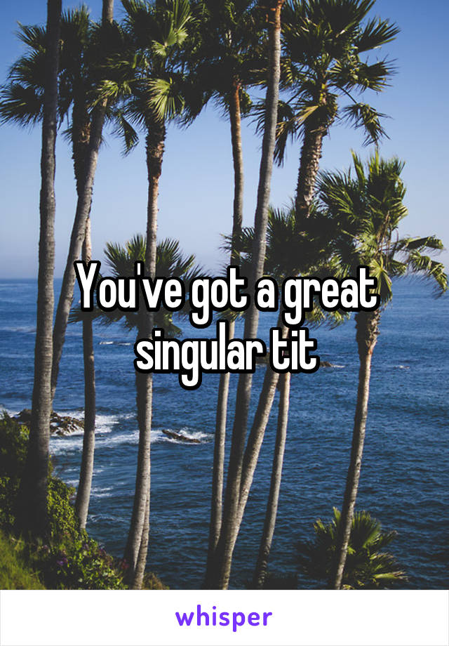 You've got a great singular tit