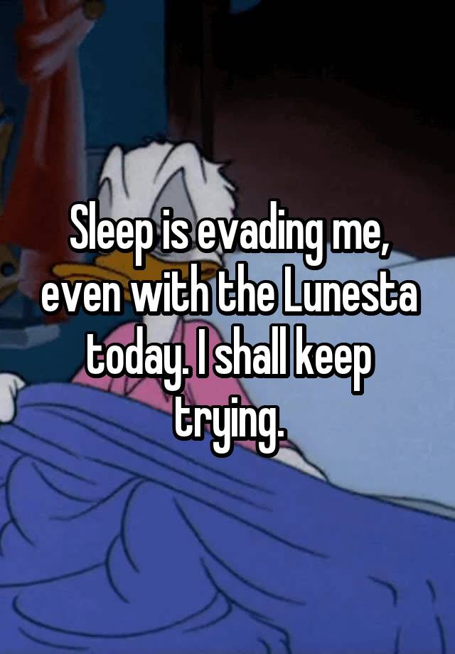 Sleep is evading me, even with the Lunesta today. I shall keep trying.