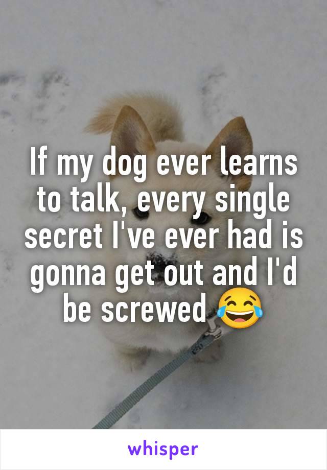 If my dog ever learns to talk, every single secret I've ever had is gonna get out and I'd be screwed 😂