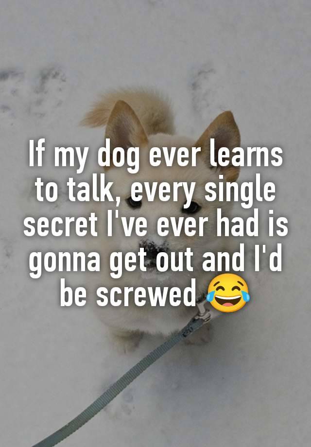 If my dog ever learns to talk, every single secret I've ever had is gonna get out and I'd be screwed 😂