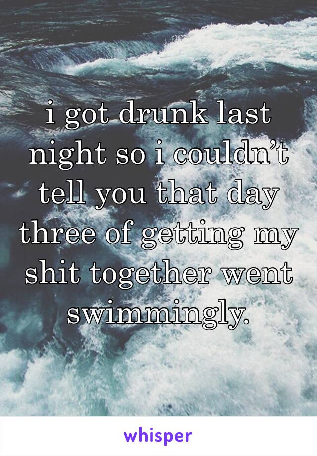 i got drunk last night so i couldn’t tell you that day three of getting my shit together went swimmingly.