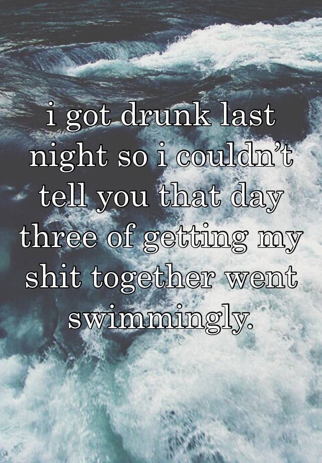 i got drunk last night so i couldn’t tell you that day three of getting my shit together went swimmingly.