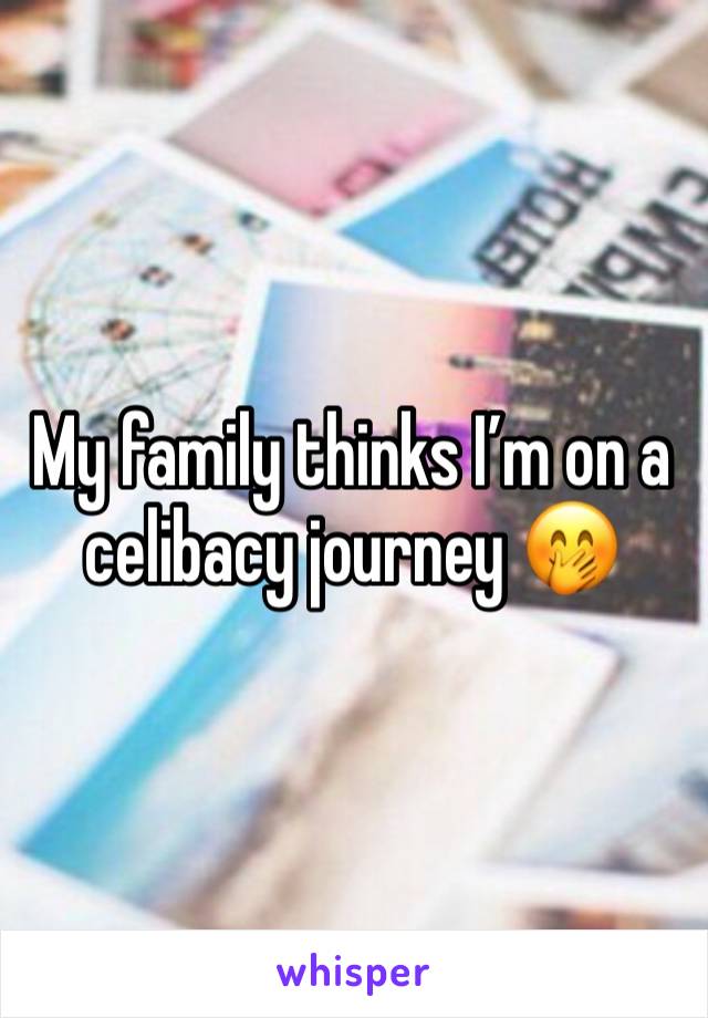 My family thinks I’m on a celibacy journey 🤭