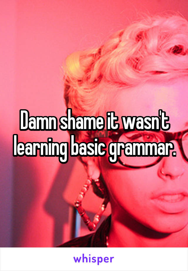 Damn shame it wasn't learning basic grammar.