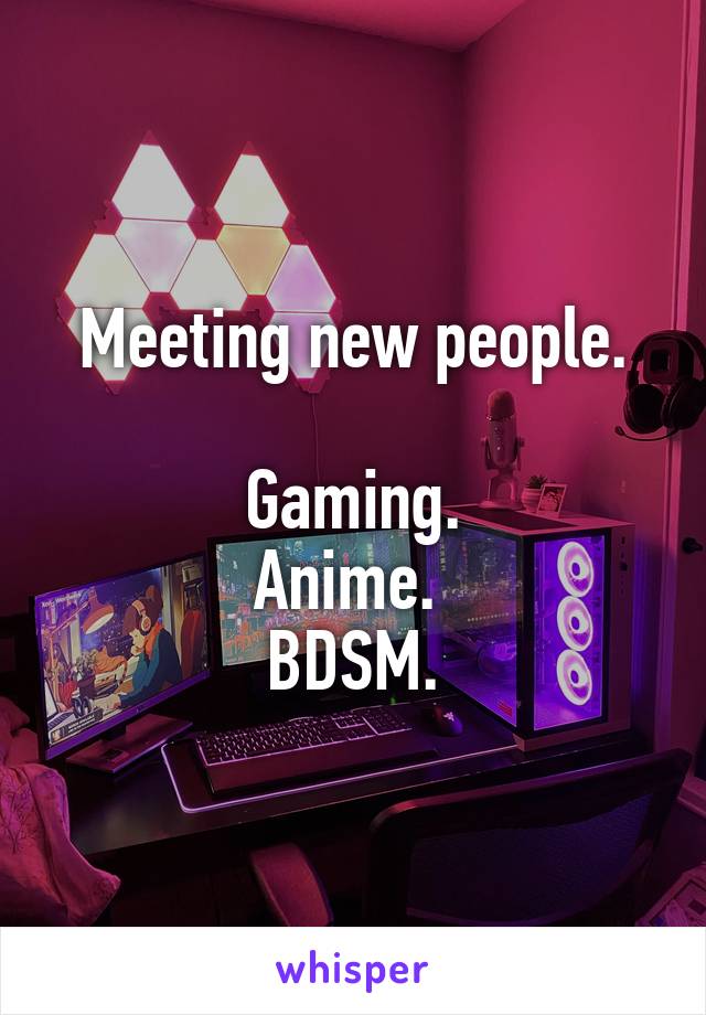 Meeting new people.

 Gaming. 
Anime. 
BDSM.