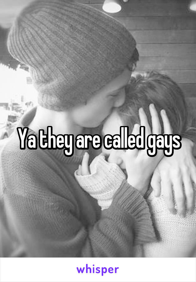 Ya they are called gays