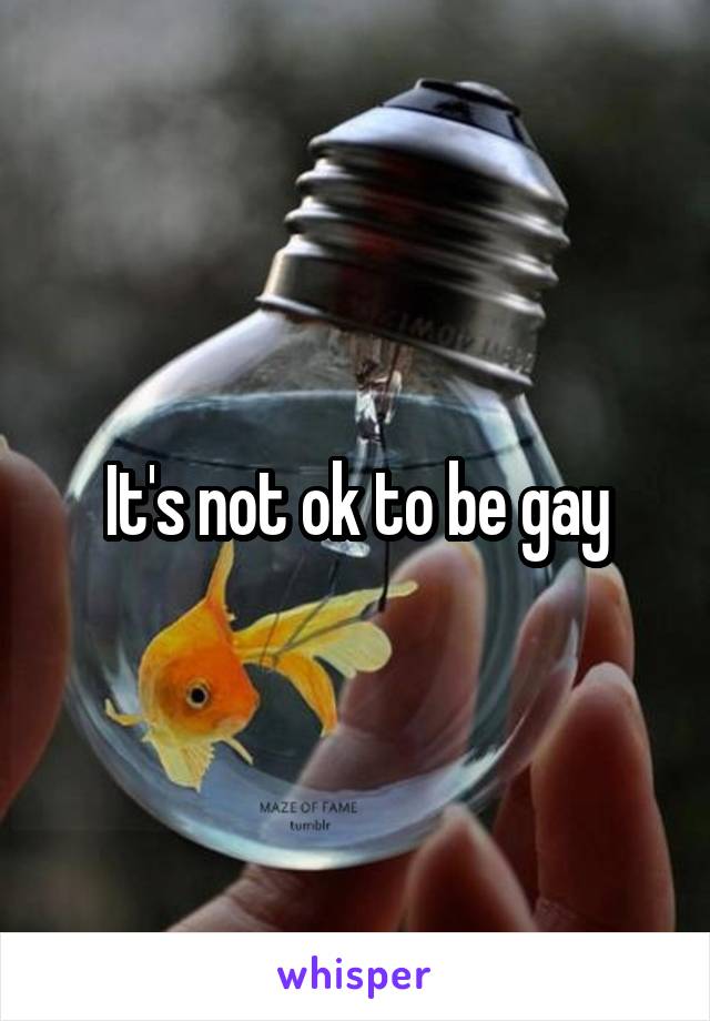 It's not ok to be gay