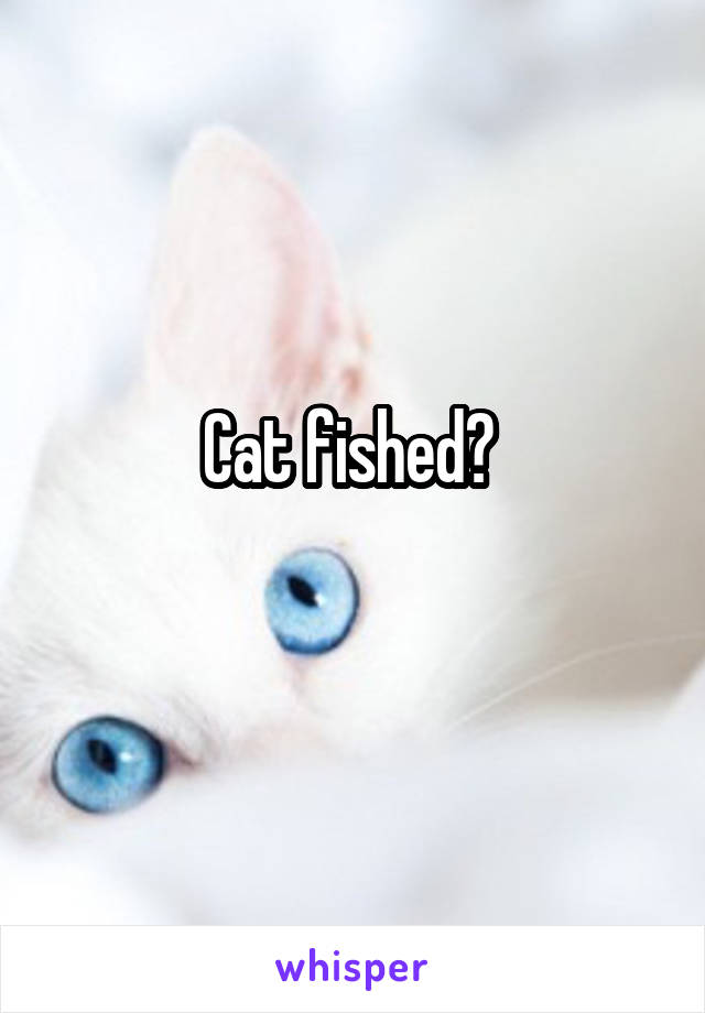 Cat fished? 
