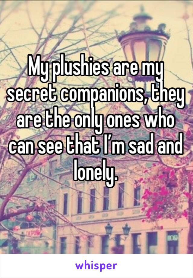 My plushies are my secret companions, they are the only ones who can see that I’m sad and lonely.