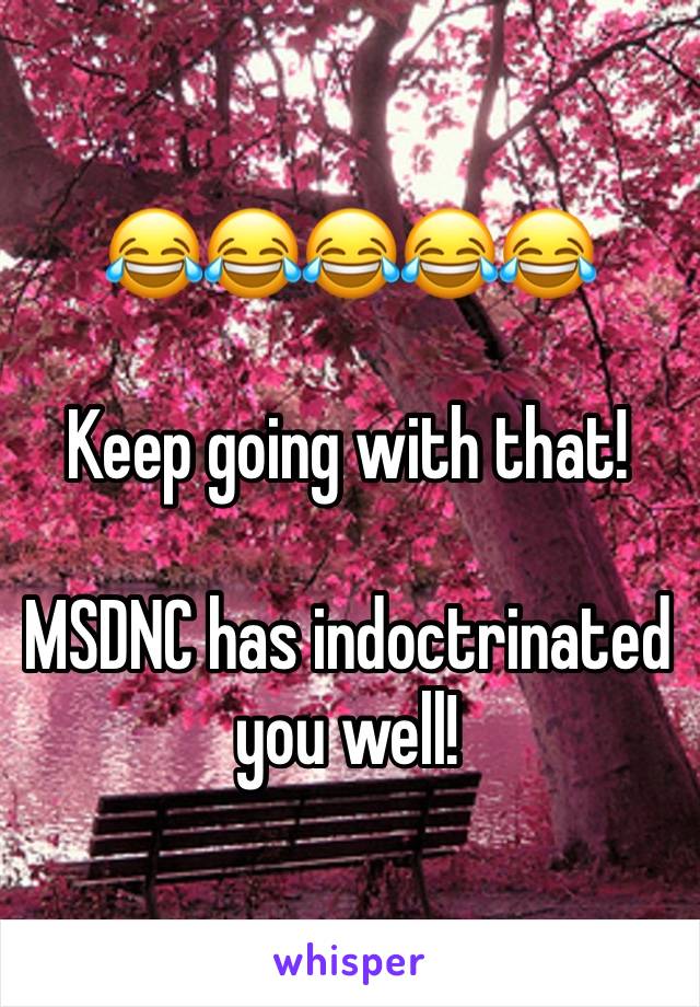 😂😂😂😂😂

Keep going with that!

MSDNC has indoctrinated you well! 