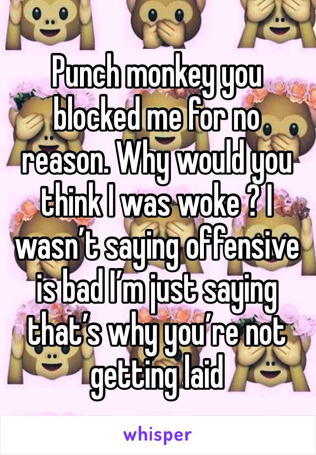 Punch monkey you blocked me for no reason. Why would you think I was woke ? I wasn’t saying offensive is bad I’m just saying that’s why you’re not getting laid 